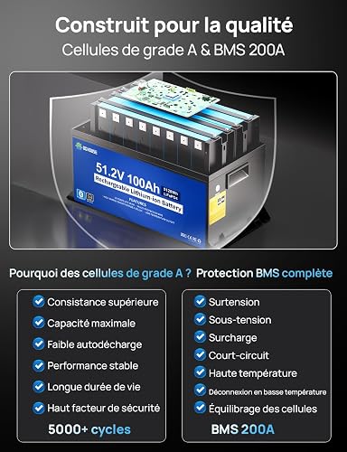 DCHOUSE 48V 100Ah LiFePO4 Batterie Voiturette de Golf Chargeur et Monitor - 5