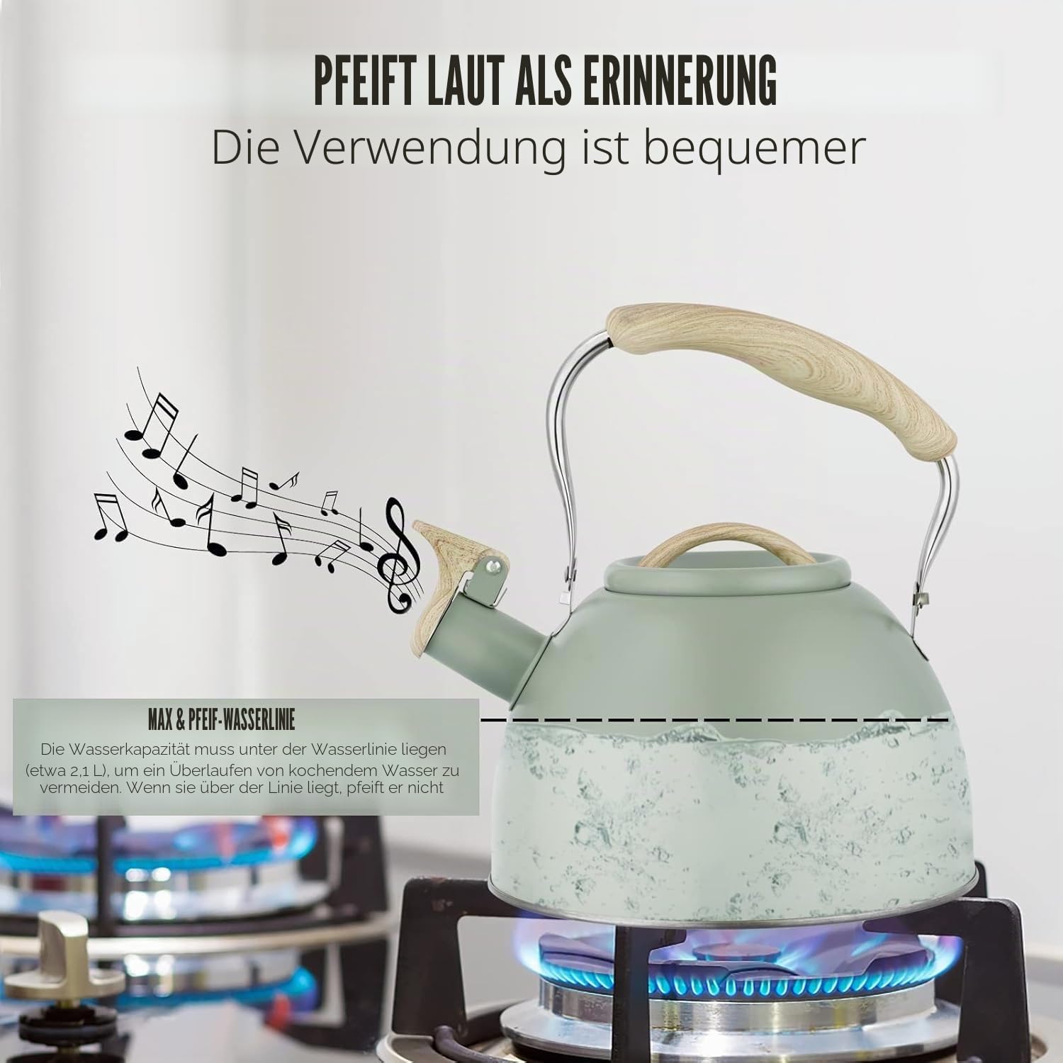 Pfeifkessel für Induktionsherde, 3 l, Edelstahl, Flötenkessel aus Edelstahl, für Gasherde, Induktion und Elektroherde