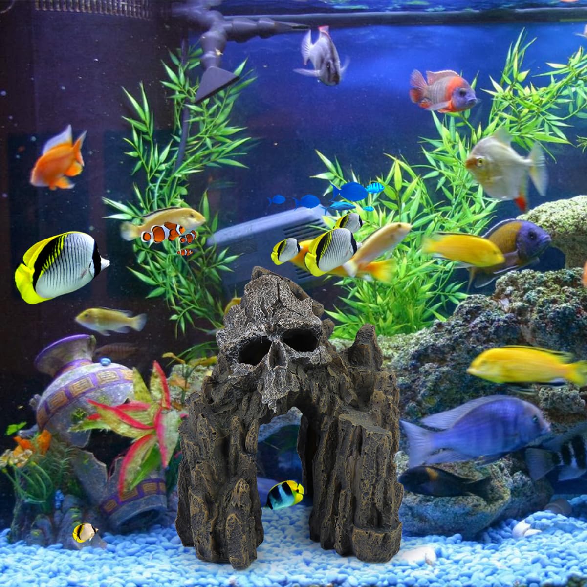 Decorazione per Acquario a Forma di Teschio in Resina, Decorativo Stabile e Gamberetti, per Acquari e Serbatoi