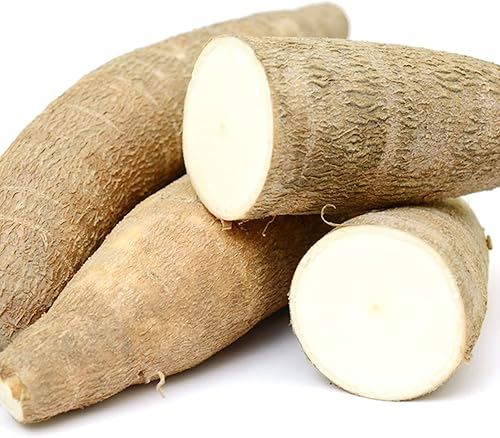 Miniatura 3 de QAUZUY GARDEN 10 semillas de mandioca y mandioca de mandioca (Manihot Esculenta), Yuca, Tapioca - Semillas de vegetales tradicionales altamente