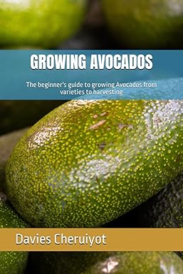GROWING AVOCADOS: The beginner's guide to growing Avocados from ...