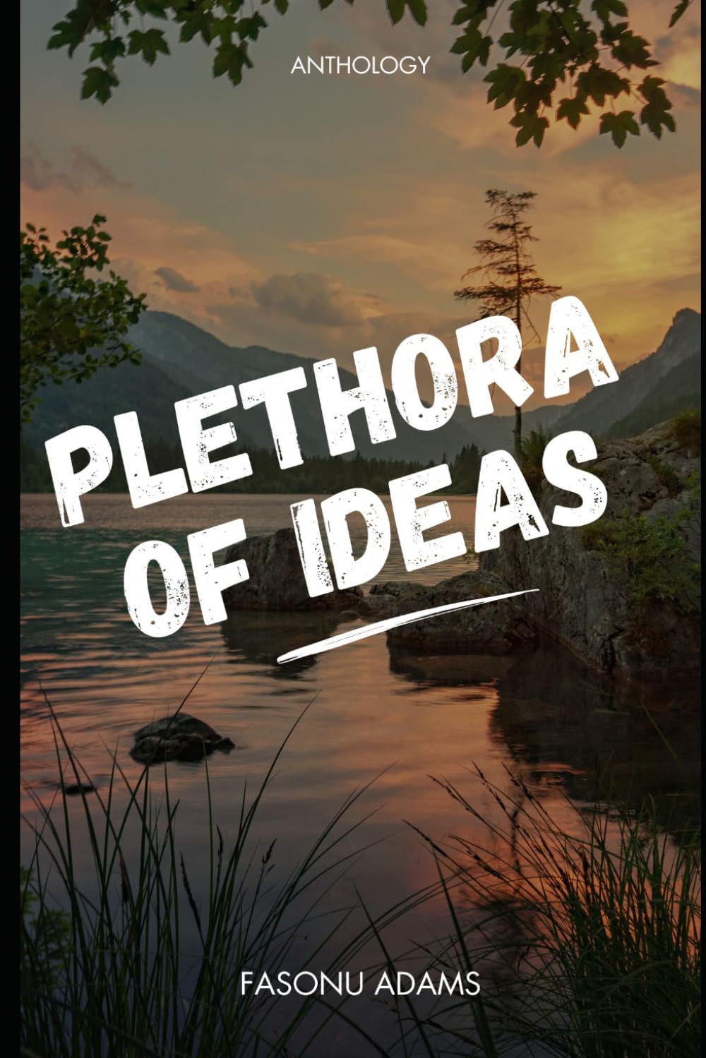 PLETHORA OF IDEAS: Poems on life, love, faith, And the human experience