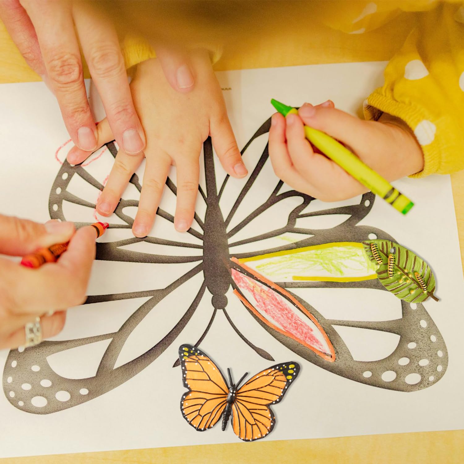 Tabanzhe Insect Figurines-4PCS Butterfly Life Cycle Growth Model Realistic Animal Figures Butterflies Cycle Stage Model Preschool Learning Teaching Tools - Image 3