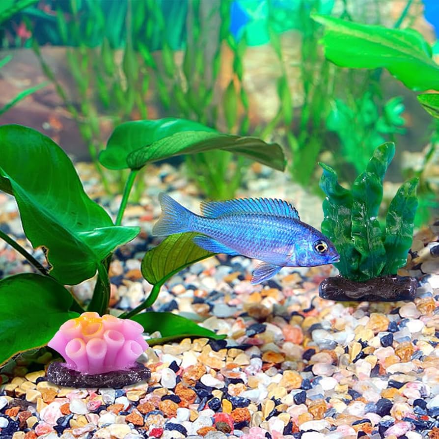 サンゴ置物　珊瑚　テーブルサンゴ　オブジェ サンゴ 珊瑚 オブジェ Sサイズ 木製 2種類 夏 置物 ビーチ