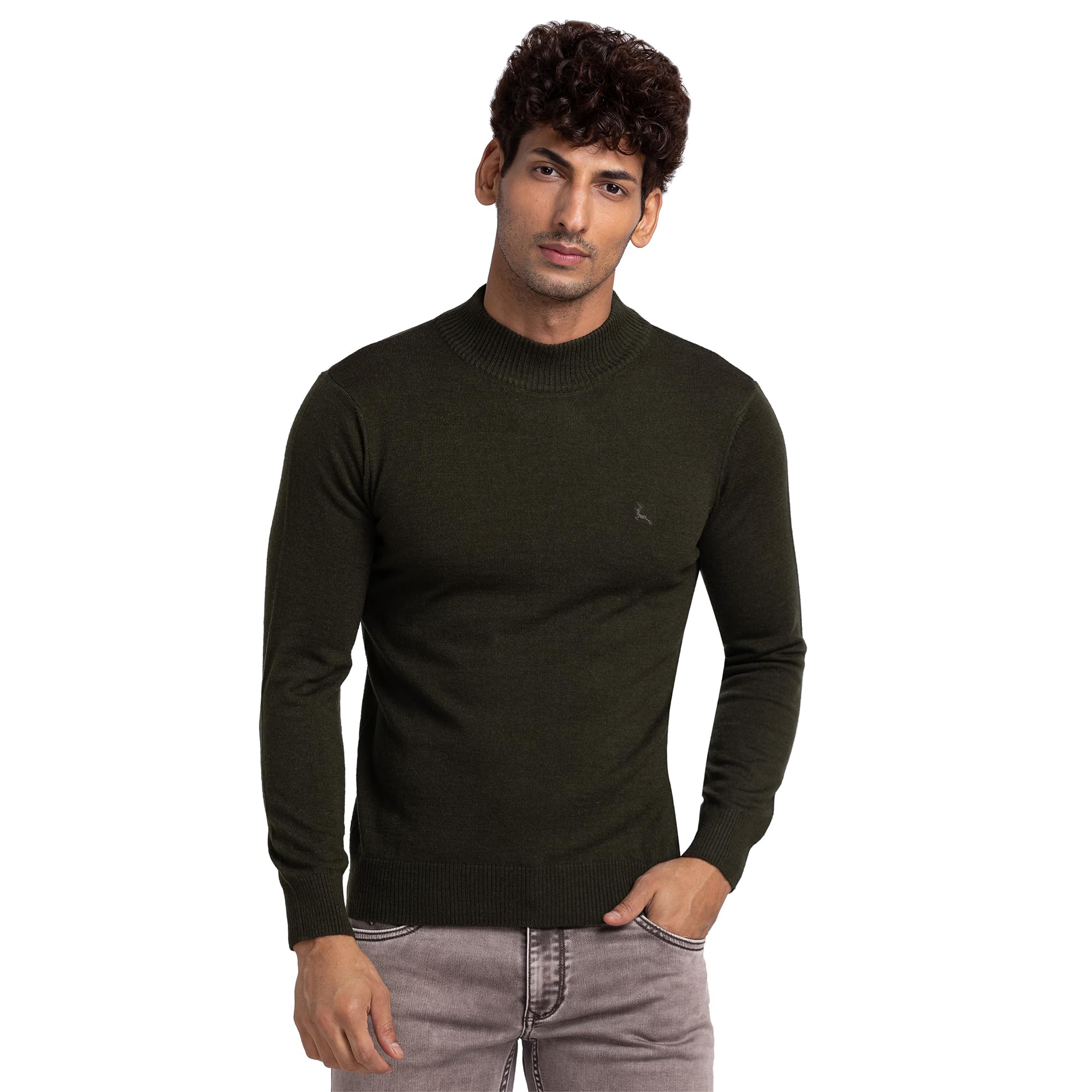 parx Men Regular Fit Solid Pattern Acrlic Wool Blend Full Sleeve Turtle Neck Casual Sweater-picture-36