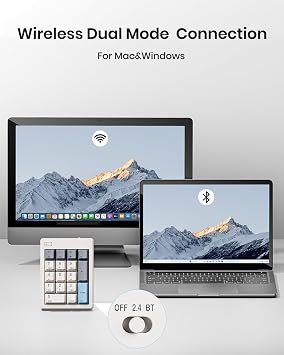 Kisnt FD17 Wireless Mechanical Numpad for Excel Financial Data Entry | Bluetooth 5.0 & 2.4G Dual Mode Connection, 17 keys Hot Swappable with PBT Keycaps, Ideal for Laptops PC Compact Keyboards