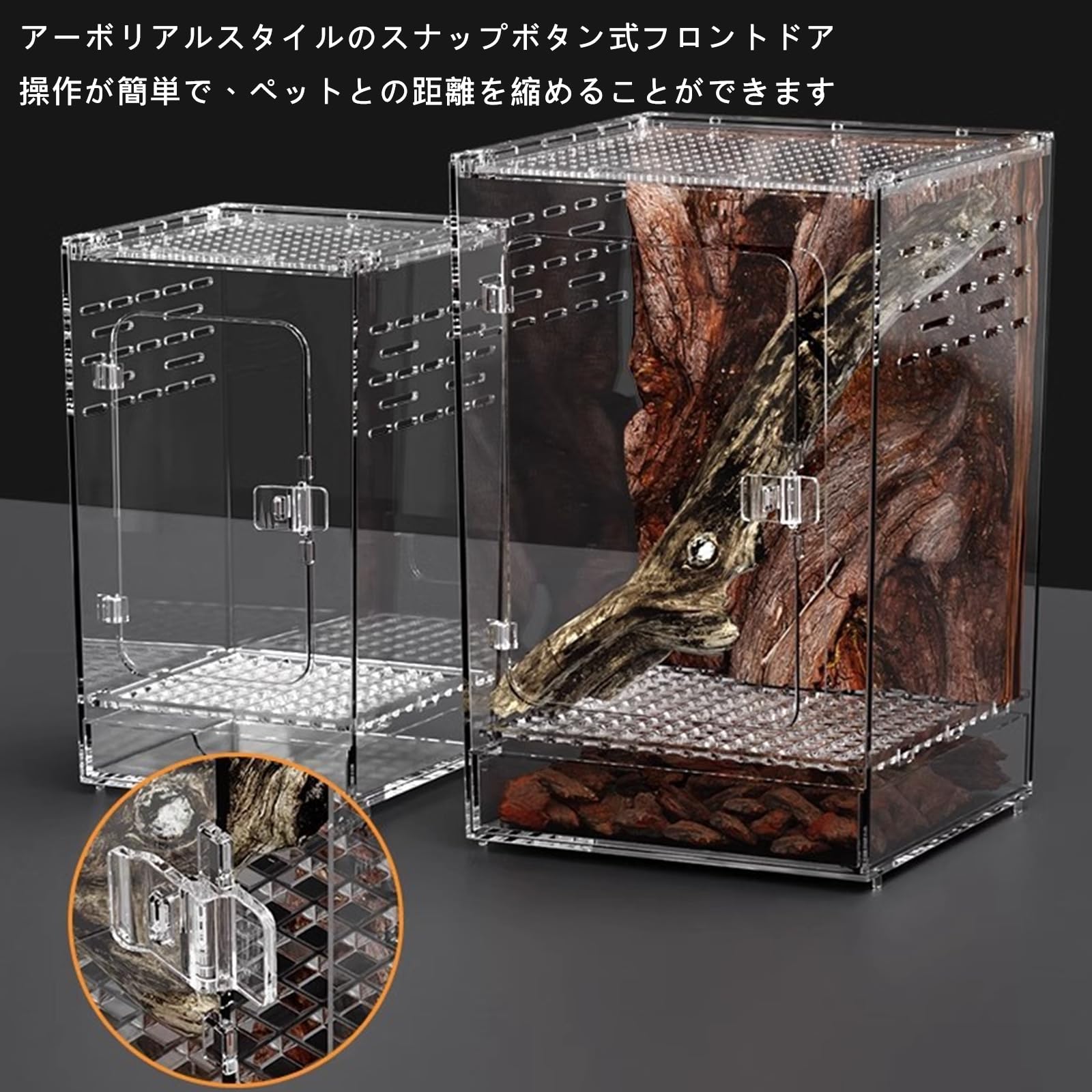 Amazon | 爬虫類 ケージ レプタイルボックス 両生類用飼育ケース