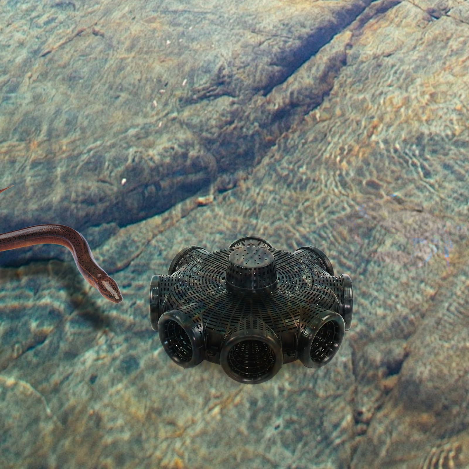 Trampa Cangrejos, 8 Agujeros Trampas Peces De Malla De pesce, Red De pesce | Automática De Nailon, Trampa para Pececillos De Plata, Cebo Jaula para Peces Camarones Pececitos cangrejos cangrejos