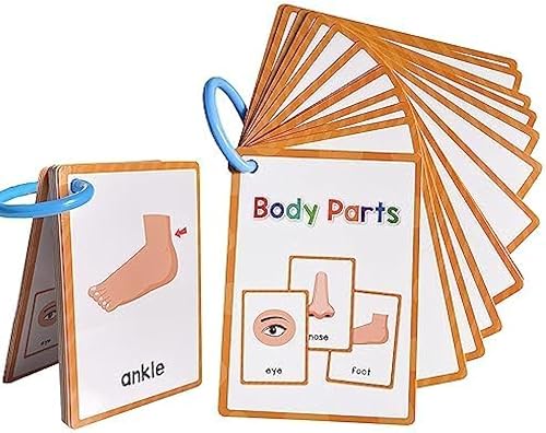 Tarjetas didácticas de aprendizaje de partes del cuerpo, palabras de alta frecuencia, lectura inicial, jardín de infantes a 1er grado, materiales de