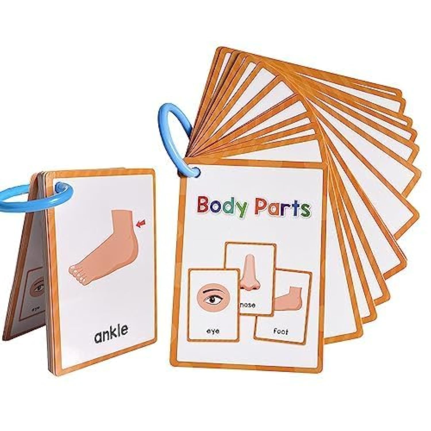 Lachilly Body Parts Learning Flashcards, High Frequency Words, Beginning Reading, Kindergarten to 1st Grade, ESL Teaching Materials, Autism Learning Materials, Vocabulary Building, 15 Cards, 28 Words