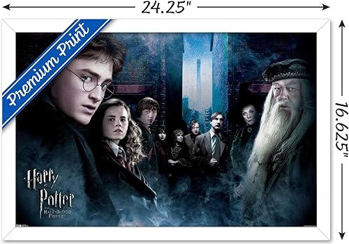 Vista 76 de Trends International Harry Potter y el príncipe mestizo - Póster de pared de la fraternidad, 22.375 x 34 pulgadas, versión premium sin marco