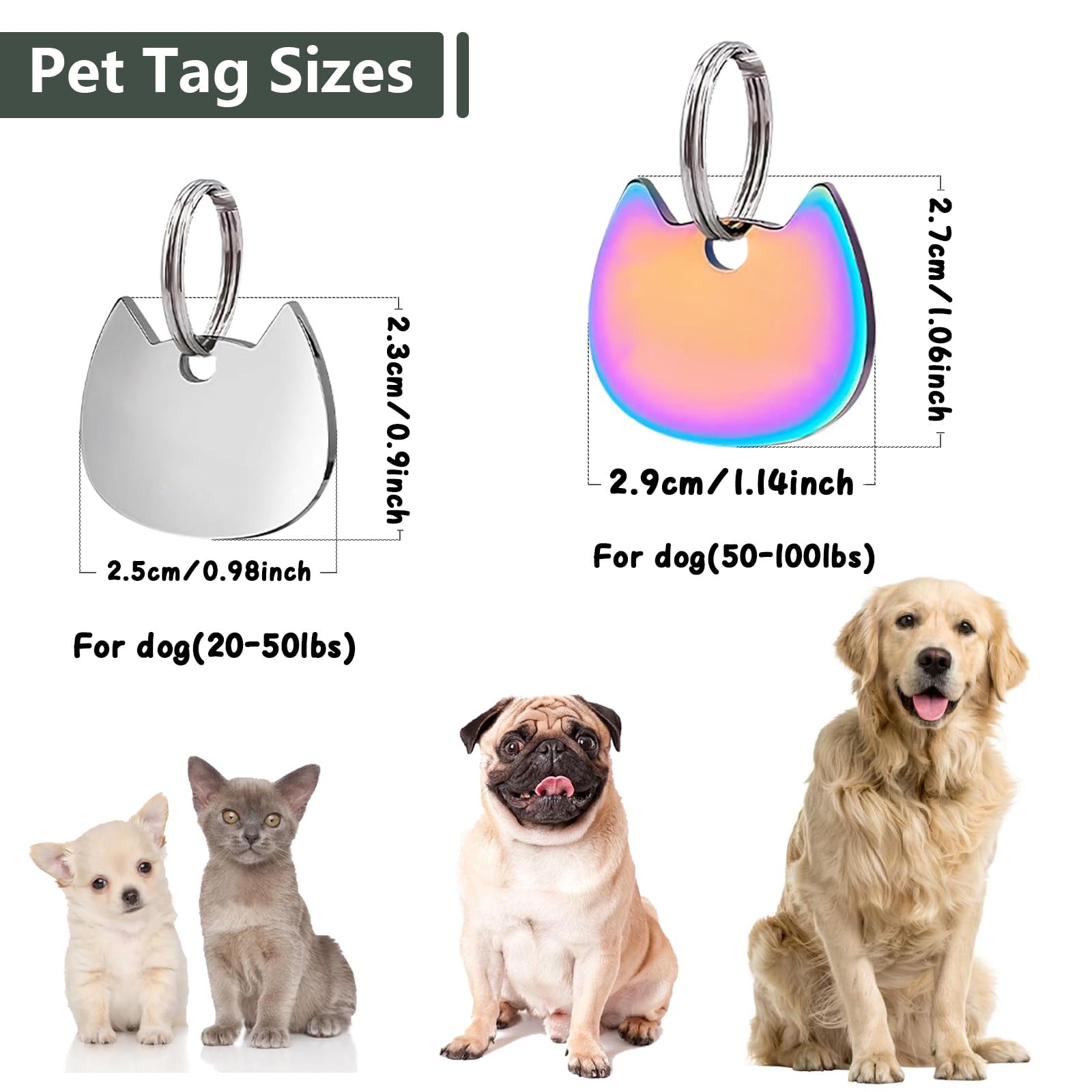 Medaglietta Cane Personalizzata Ibera - Acciaio Inox, Incisione Laser | Per Cani E Gatti Grandi - Foto 5