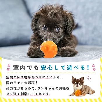Amazon | 【T.A.L.D.B】犬 ボール 犬おもちゃ 人気 鳴る 小鳥の