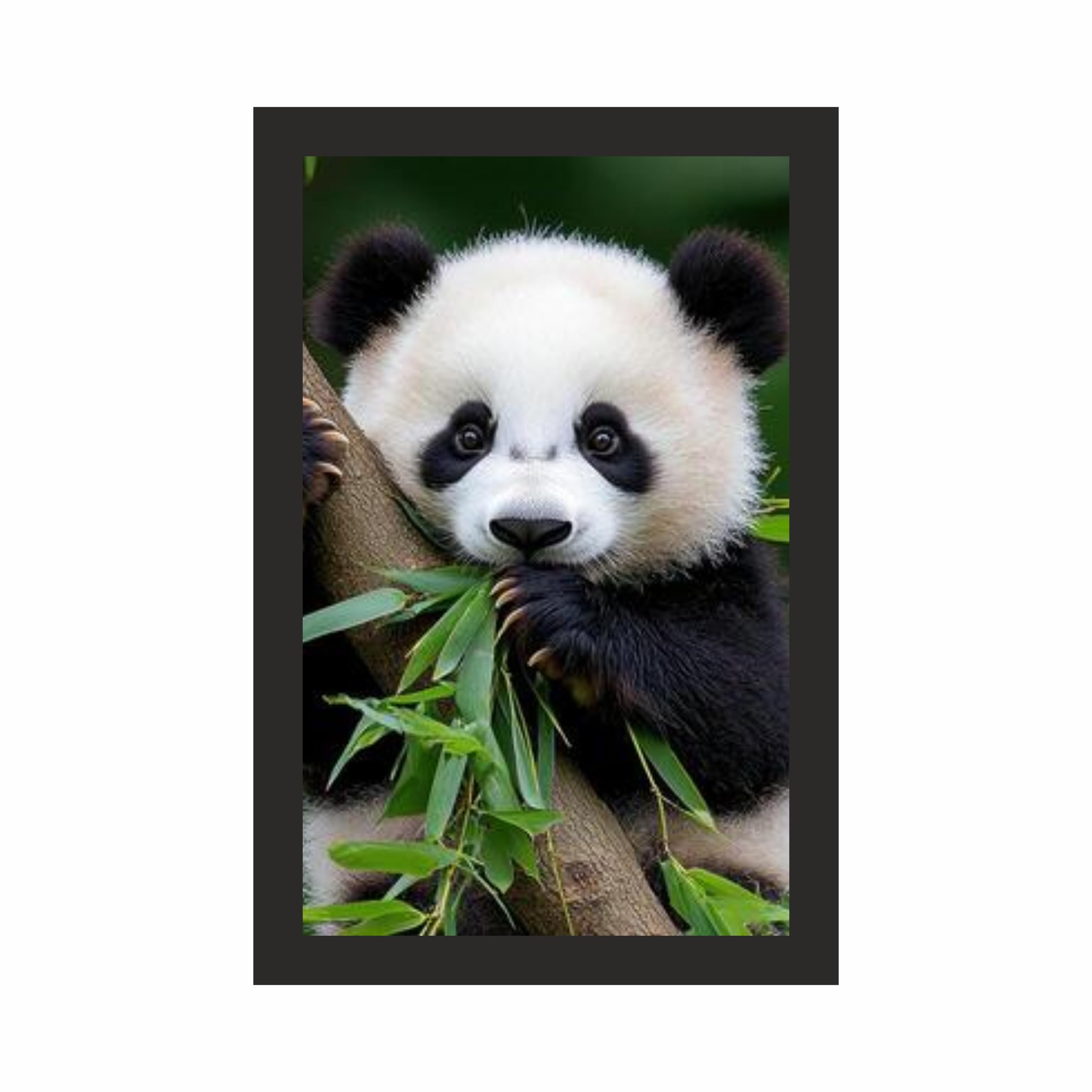 Cute Panda Wall Art Frame 12x18 Inch