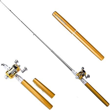 micro pen fishing rod