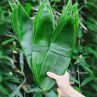 300 Pcs Fresh Banana Leaves Decoration,Large Fresh Banana Leaves for Coo...
