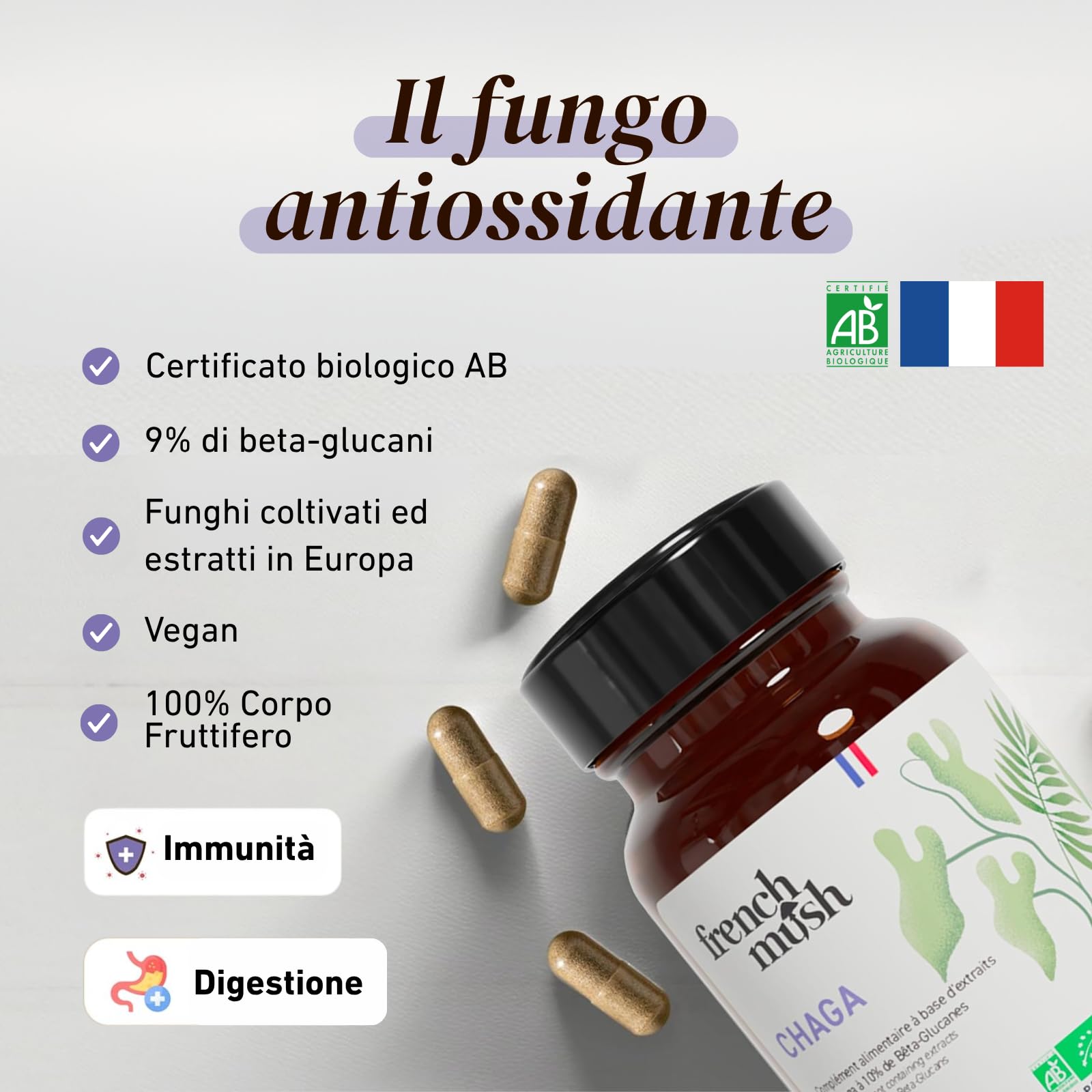 French Mush Funghi Chaga Bio Capsule 8000 mg - Superalimento Antiossidante - Complesso di Funghi Chaga Ricco di Vitamine B, D e K - Fungo Adattogeno - Testato in Laboratorio (56 capsule)