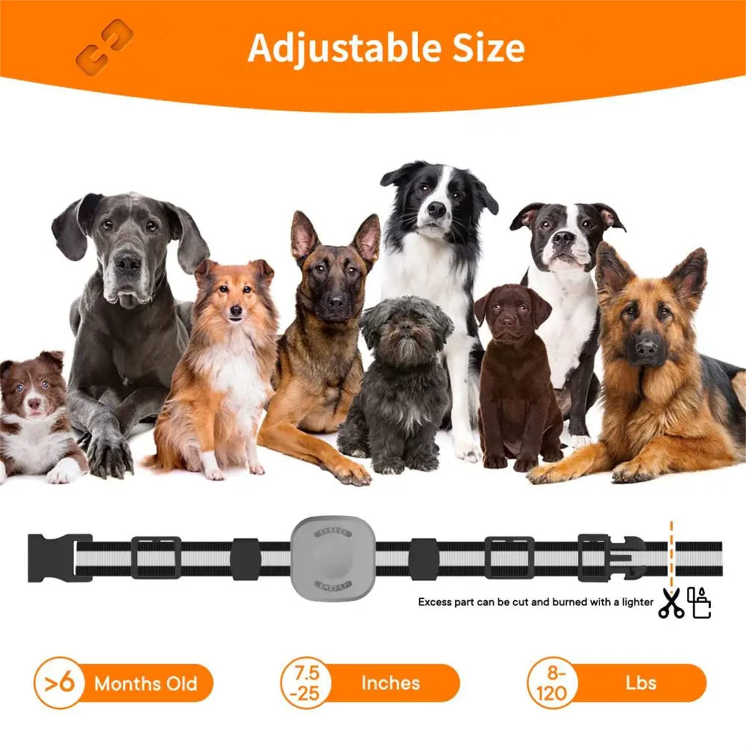 Generisch Hundeausbildung,Agility-Ausrüstung für Hunde, Sicherheit Beruhigungshalsband für Hunde Aller Größen (ww4)