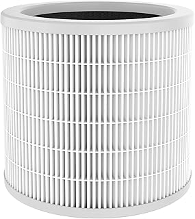 Air Purifier for Bedroom Home, QUEENTY Air Purifier with H13 True HEPA Air Filter, Portable Air Ionizer Cleaner for Allergies, Smoke, Pollen, Pet Dander, Odors, 2 Speeds,Quiet (Black)