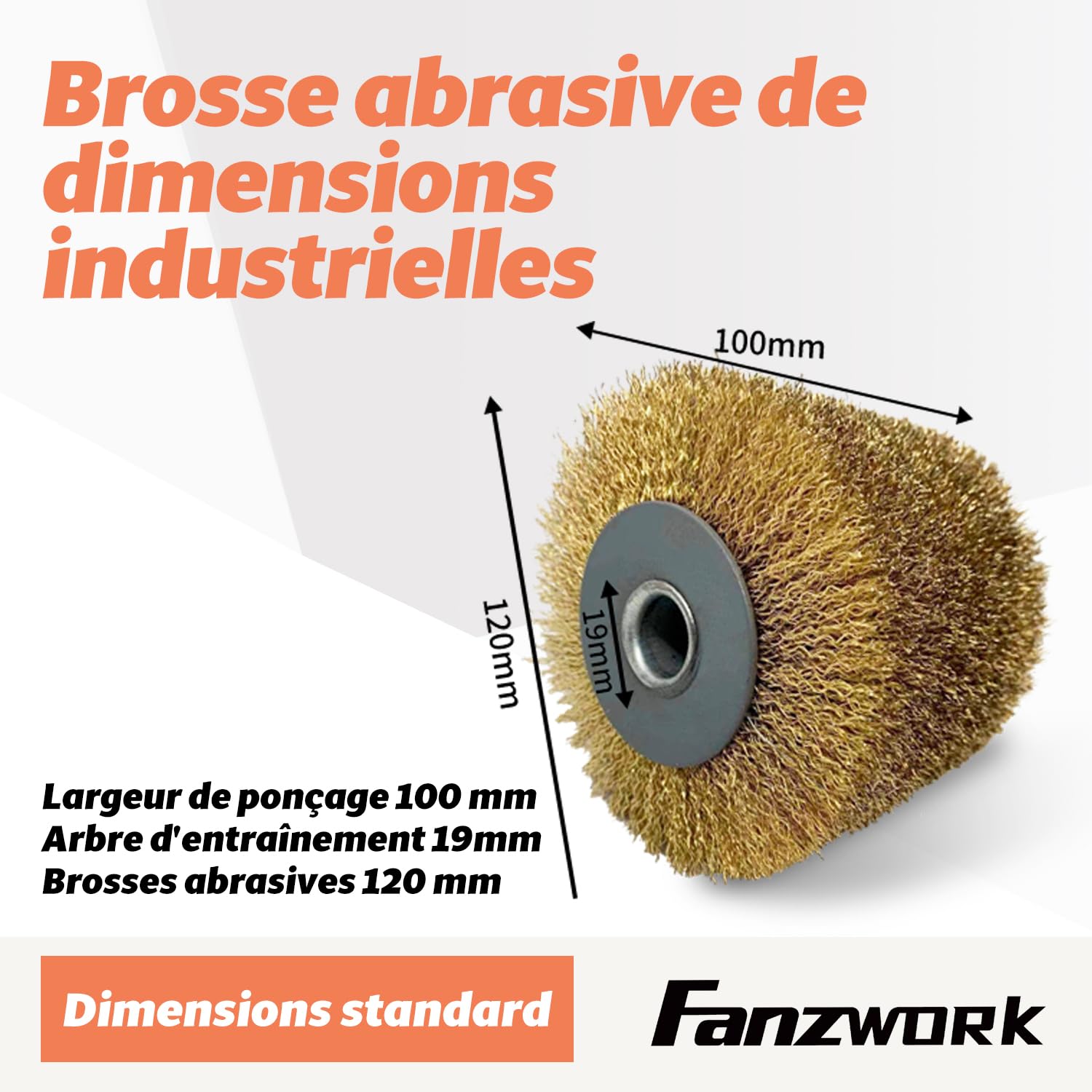 FANZWORK V2 Rénovateur Extérieur 1500 W, Satiniermaschine/Ponceuse Satinatrice avec Variateur de Vitesse et Brosse Métallique