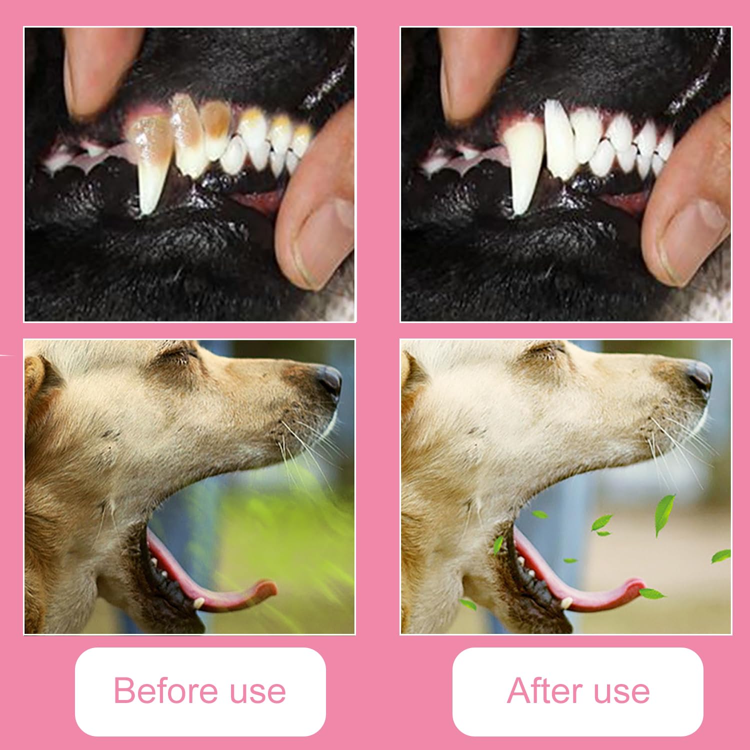 iCovalescent 10Pcs Dog Toothbrush, 360º Dog Finger Toothbrush, Silicone Pets Teeth Cleaning Toothbrush Kit - Image 4