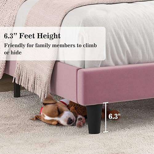 Miniatura 55 de Allewie - Base de cama tapizada en terciopelo, cabecera capitoné de canales verticales, listones de madera reforzados, opción de somier, fácil de