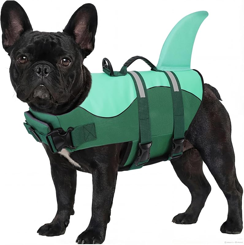 ASENKU Dog Life Jacket - Pet Safety Vest for Swimming & Boating, Shark Life Jacket with Floatation, Dog Lifesavers Swimsuits for Small Medium Large Dogs (MintMix, M)