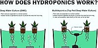 Vista 3 de The Atwater HydroPod - Kit de sistema de cultivo de agua profunda DWC - Cubo de burbujas de 5 galones - Bubbleponics - (sin nutrientes)