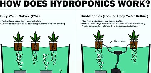 Miniatura 3 de The Atwater HydroPod - Kit de sistema de cultivo de agua profunda DWC - Cubo de burbujas de 5 galones - Bubbleponics - (sin nutrientes)