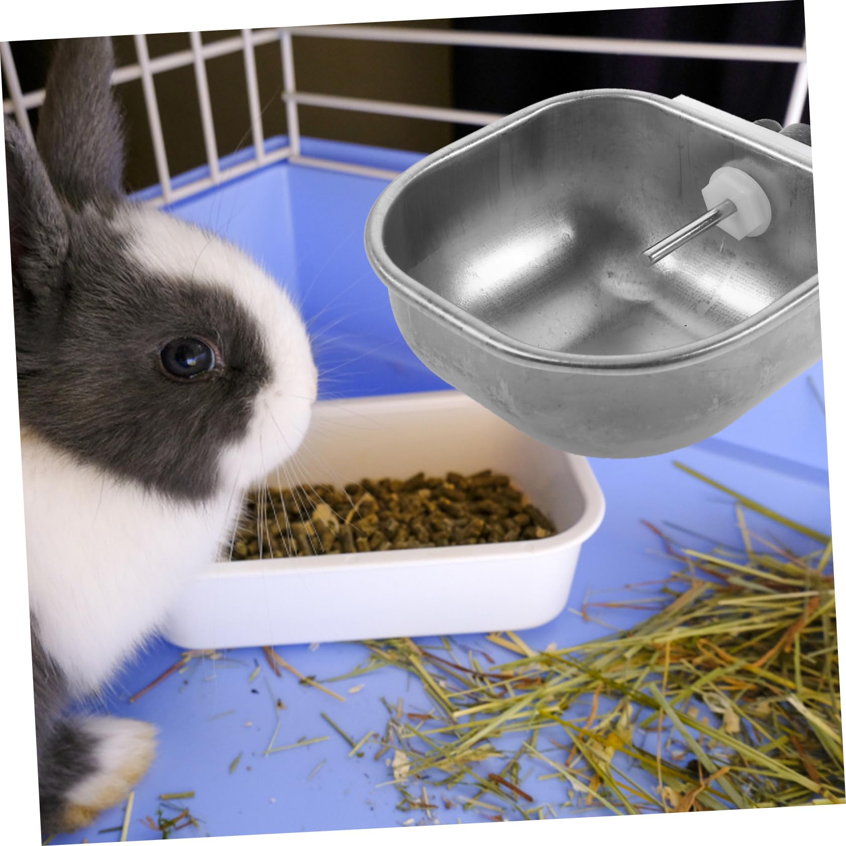 Milisten Bebedero Automático sin Fugas de Acero Inoxidable Conejos 3 Piezas para Gran Capacidad Fácil de Instalar y Limpiar Jaula de Mascotas