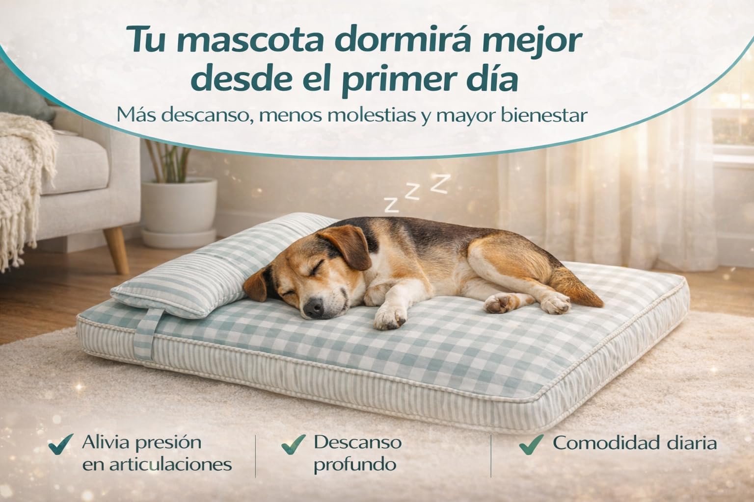 Cama para Perro Mediano 75x50 cm, Funda Lavable. Ideal para Perros hasta 10 kg y Gatos