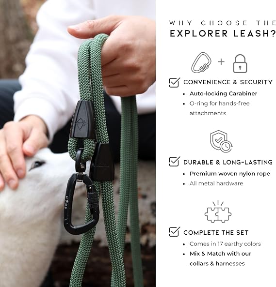 MADE TO ROAM Premium Explorer Leash - Climbing Rope Leash with Autolocking Aviation Aluminum Carabiner - Alaska Daybreak, 4ft