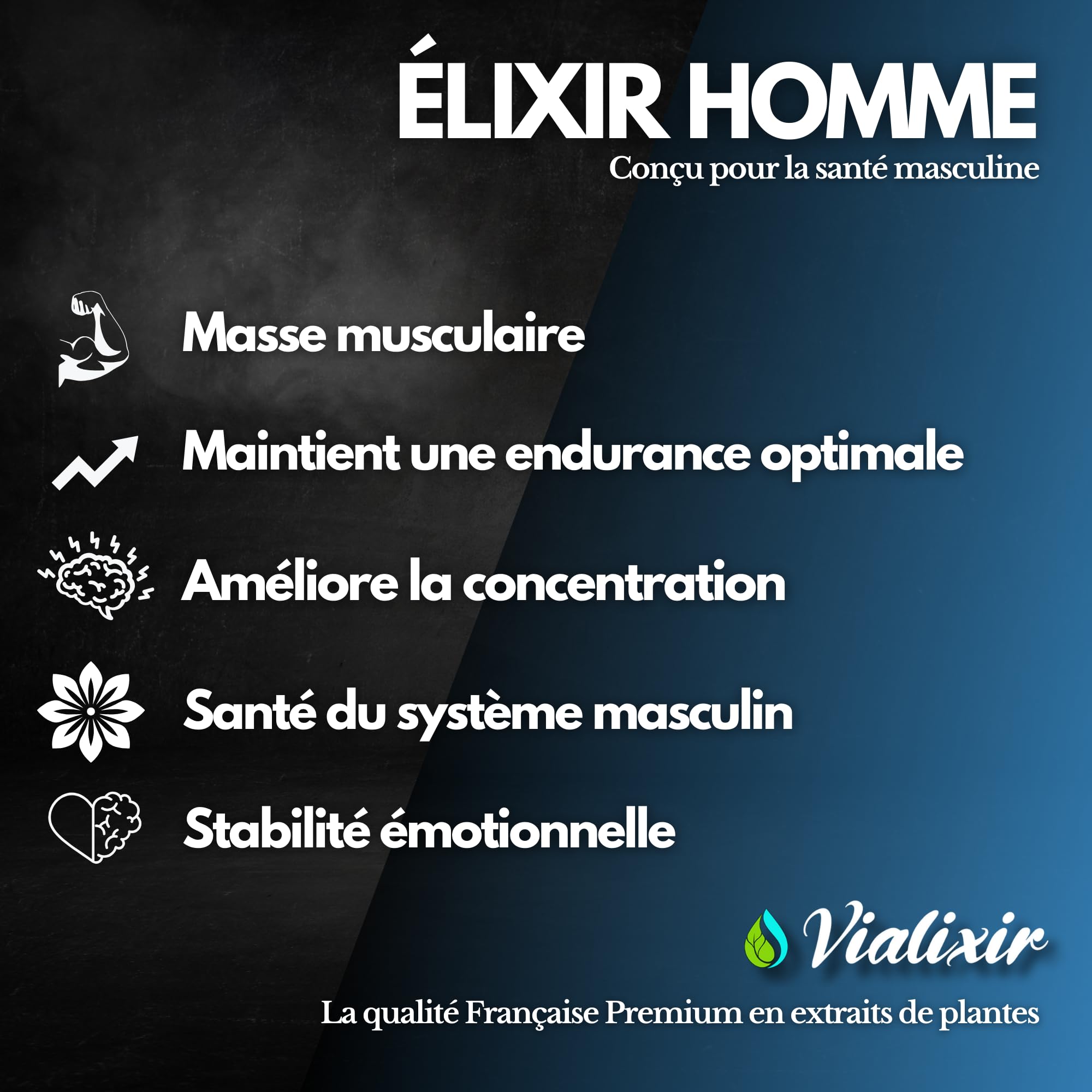 Vitalité & Énergie Homme | Ashwagandha, Maca Bio, Ginseng Rouge, Tribulus, Fenugrec | Endurance & Tonus | 60 Gélules | 100% Naturel | Fabriqué en France – Vialixir