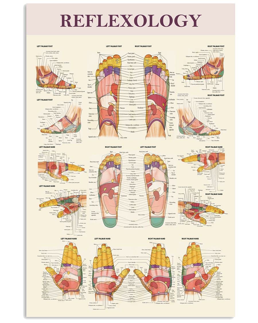 KWQDOZF Reflexology Infographic Metal Sign Therapist Knowledge Posters Art Office Decor Plaque Wall Decoration For Home Room Club Store 12x16 Inches