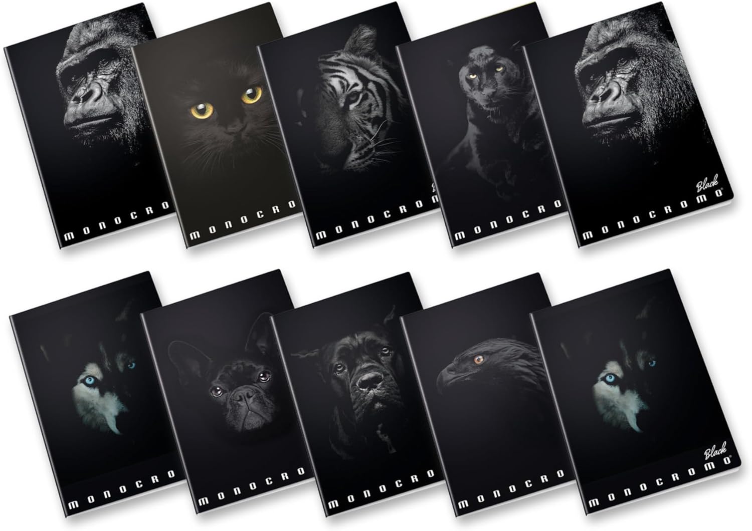 Maxi Monochrome Black 38FF/SH