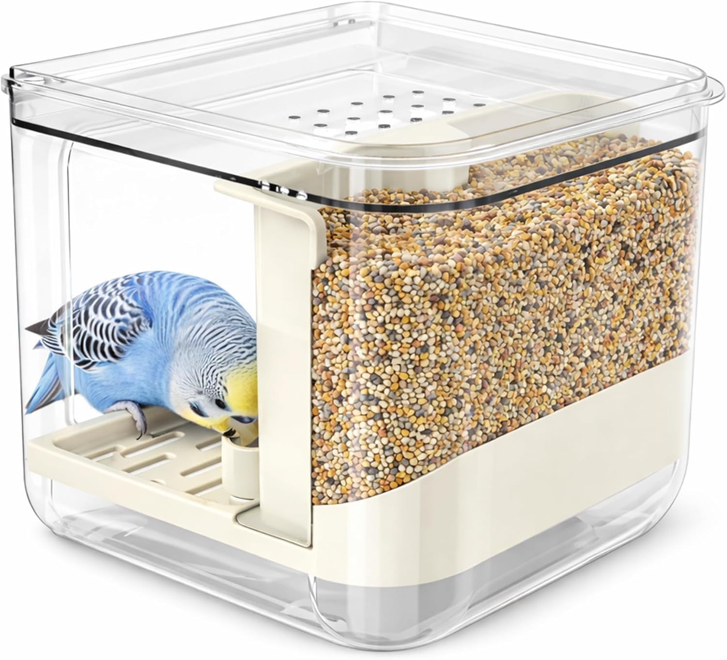 Muiltvoe Automatic Bird Feeder Hanging Clear Seed Container with Perch for Parakeet Budgie Cockatiel Small Birds