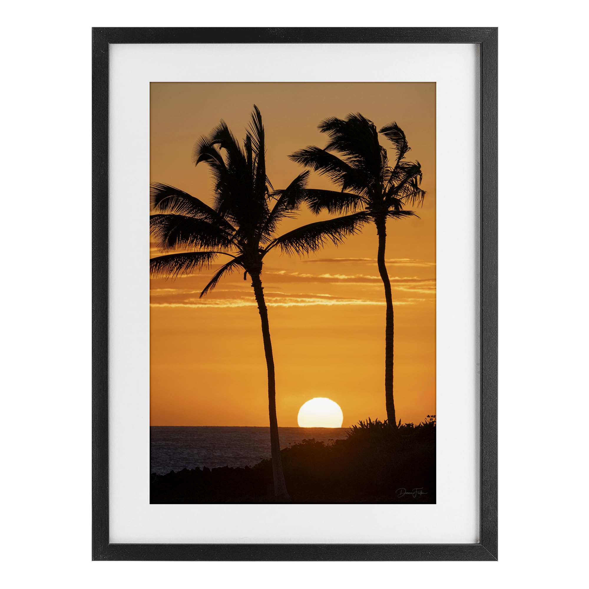 Stupell Industries Midnight Black (Textured) Sunset Palm Tree Coastal Serenity, 14 X 20 Inch Framed Print Under Glass