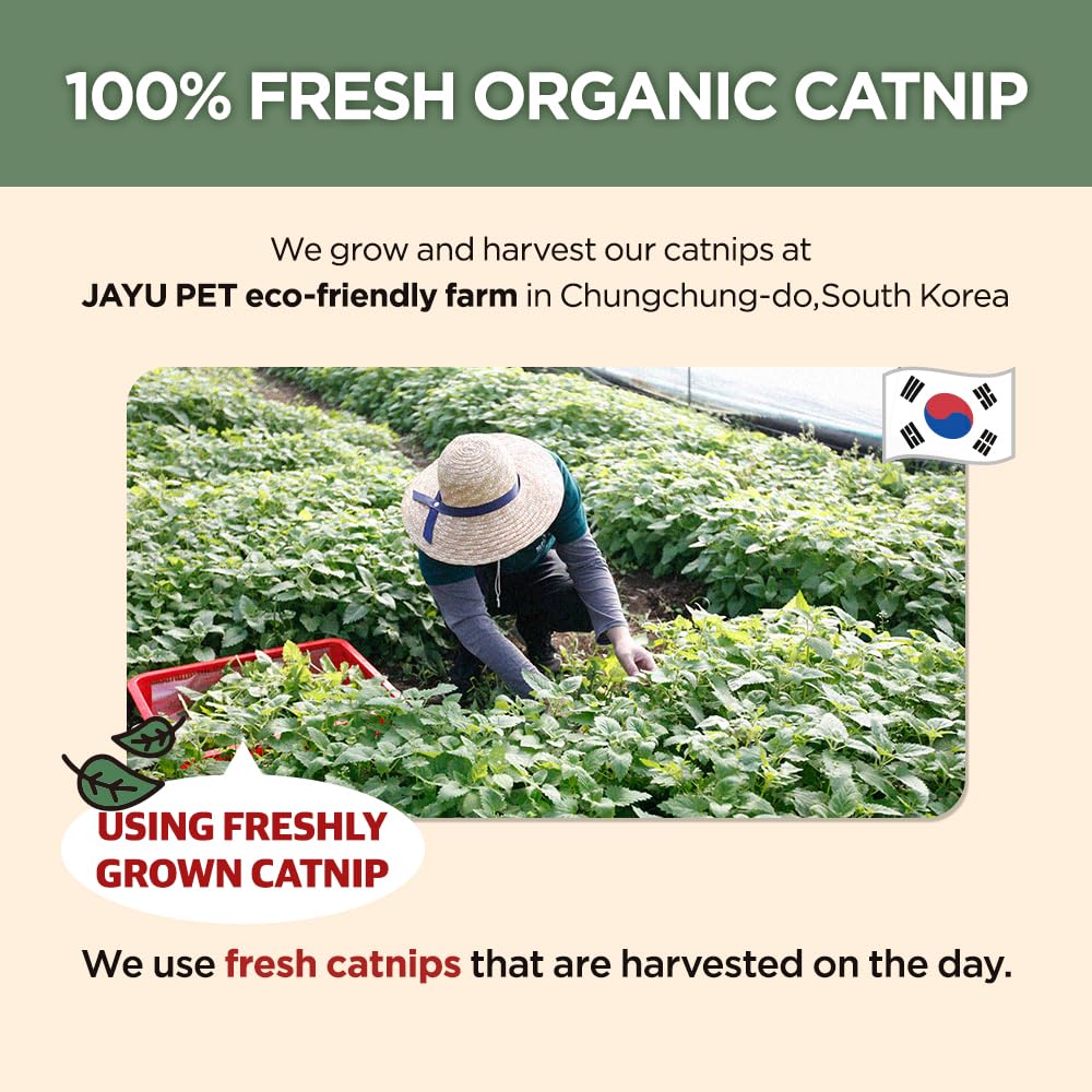 JAYU PET Active Catnip Powder (0.5 oz) - Potent Fresh Leaves for Entertaining Cats Reducing Stress & Anxiety, Reviving Old Toys - Image 4