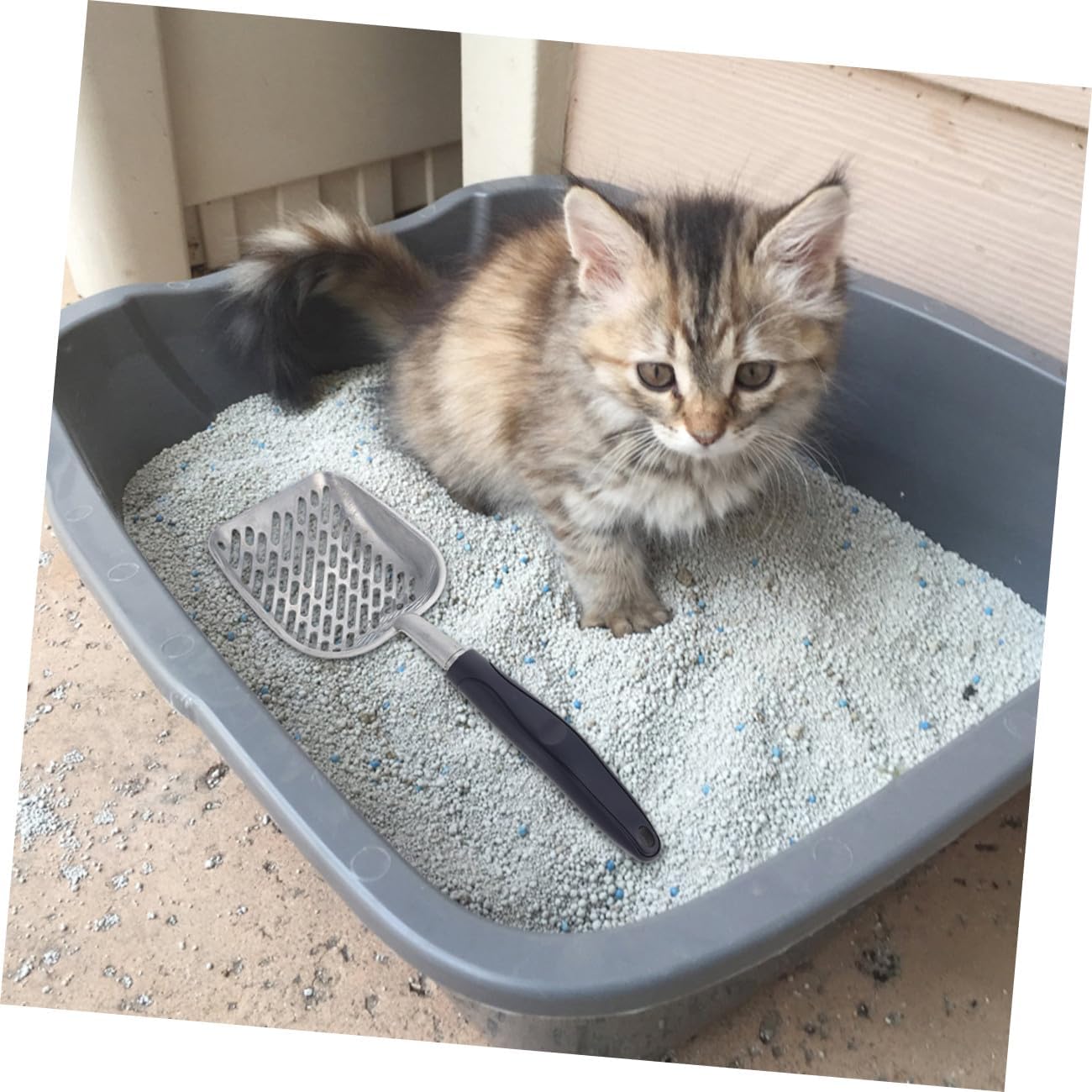 Yardwe Cat Litter Scoop Holder Metal Litter Shovel Cat Supplies Non-Slip Poop Scoop