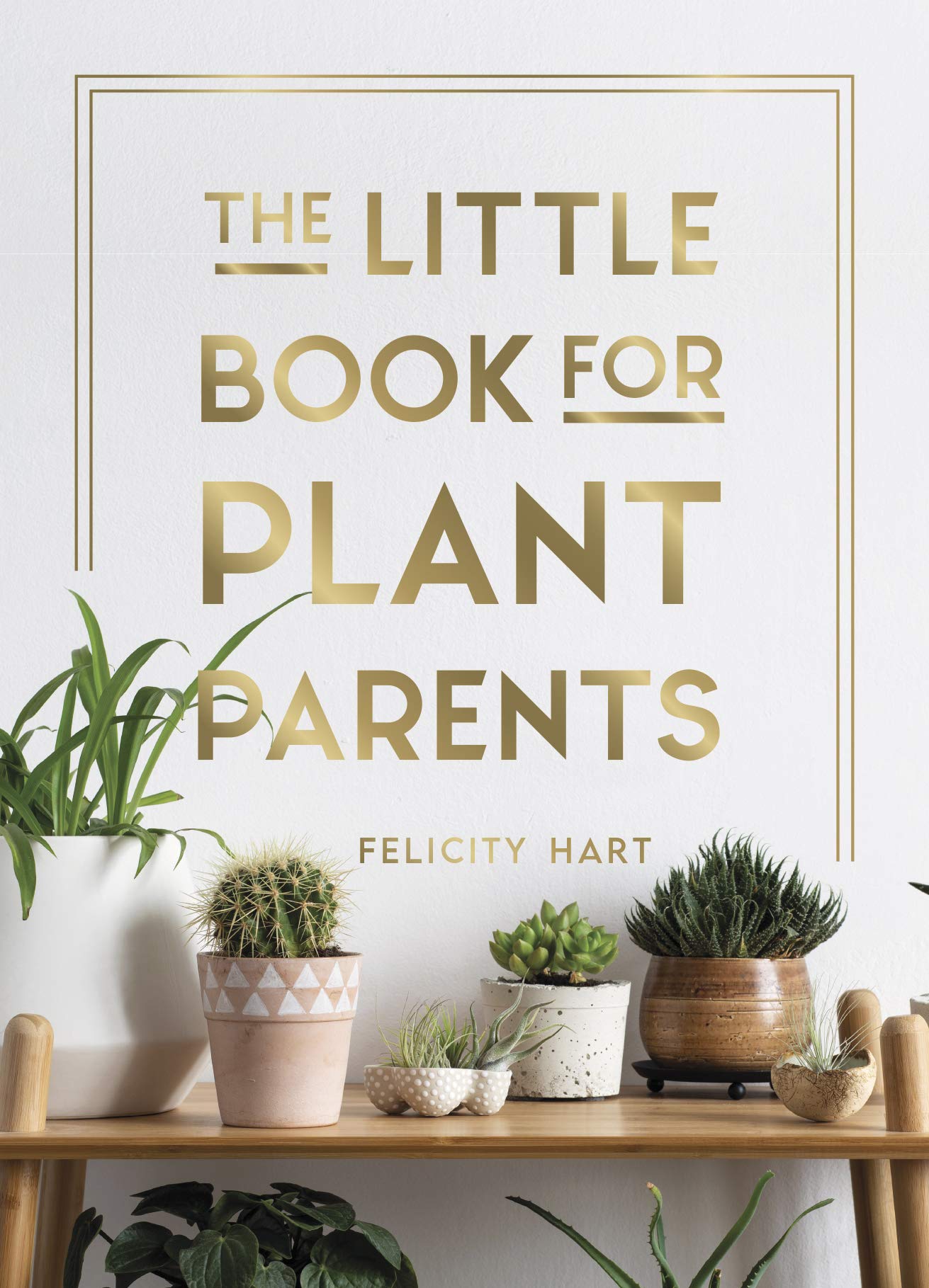 Sponsored Ad – The Little Book for Plant Parents: Simple Tips to Help You Grow Your Own Urban Jungle