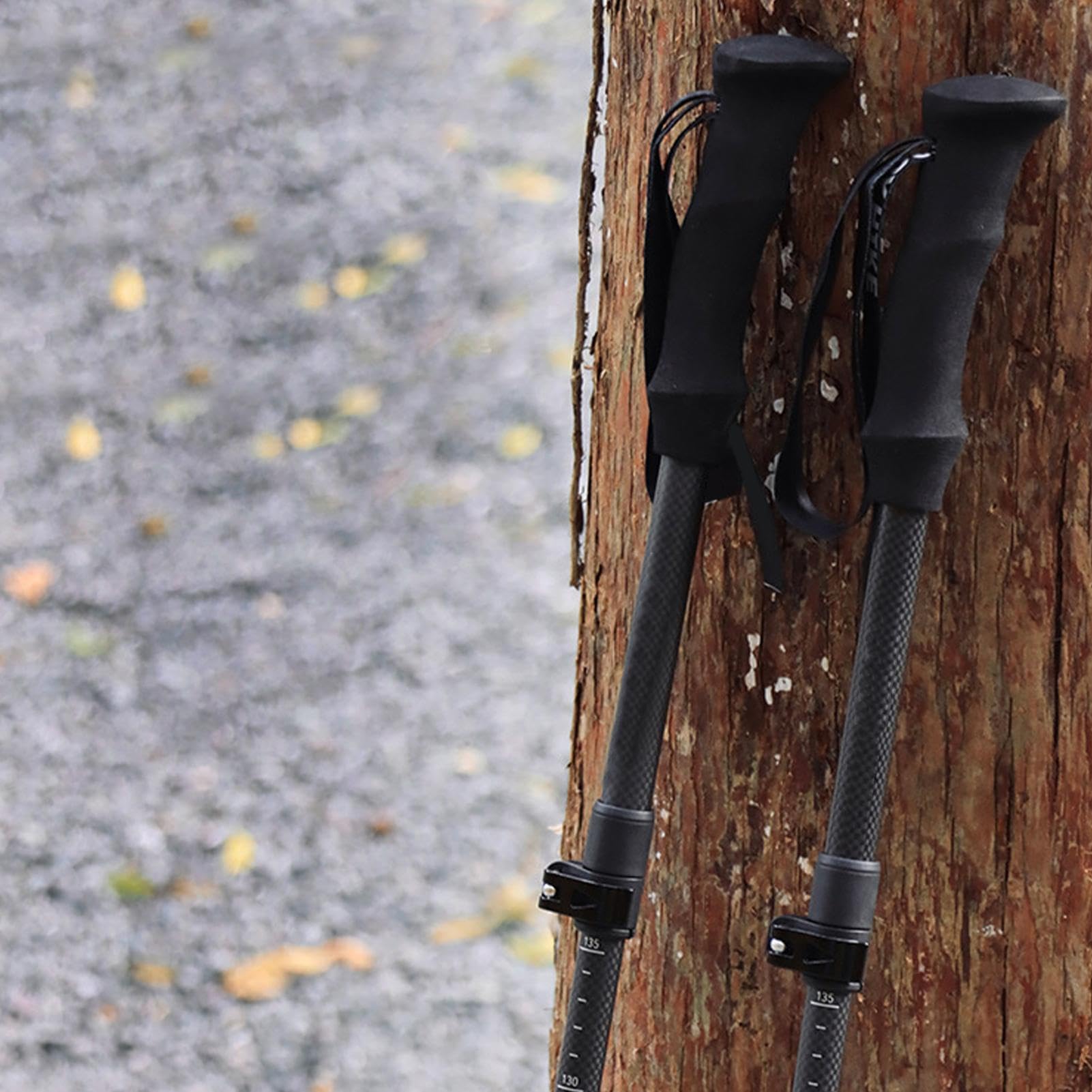 Bastoni Da Trekking Kit Pieghevole A Cinque Sezioni In Fibra Di Carbonio | Bastoni Da Escursionismo Per Viaggi Per Arrampicata Sci Viaggio Montagna Sopravvivenza