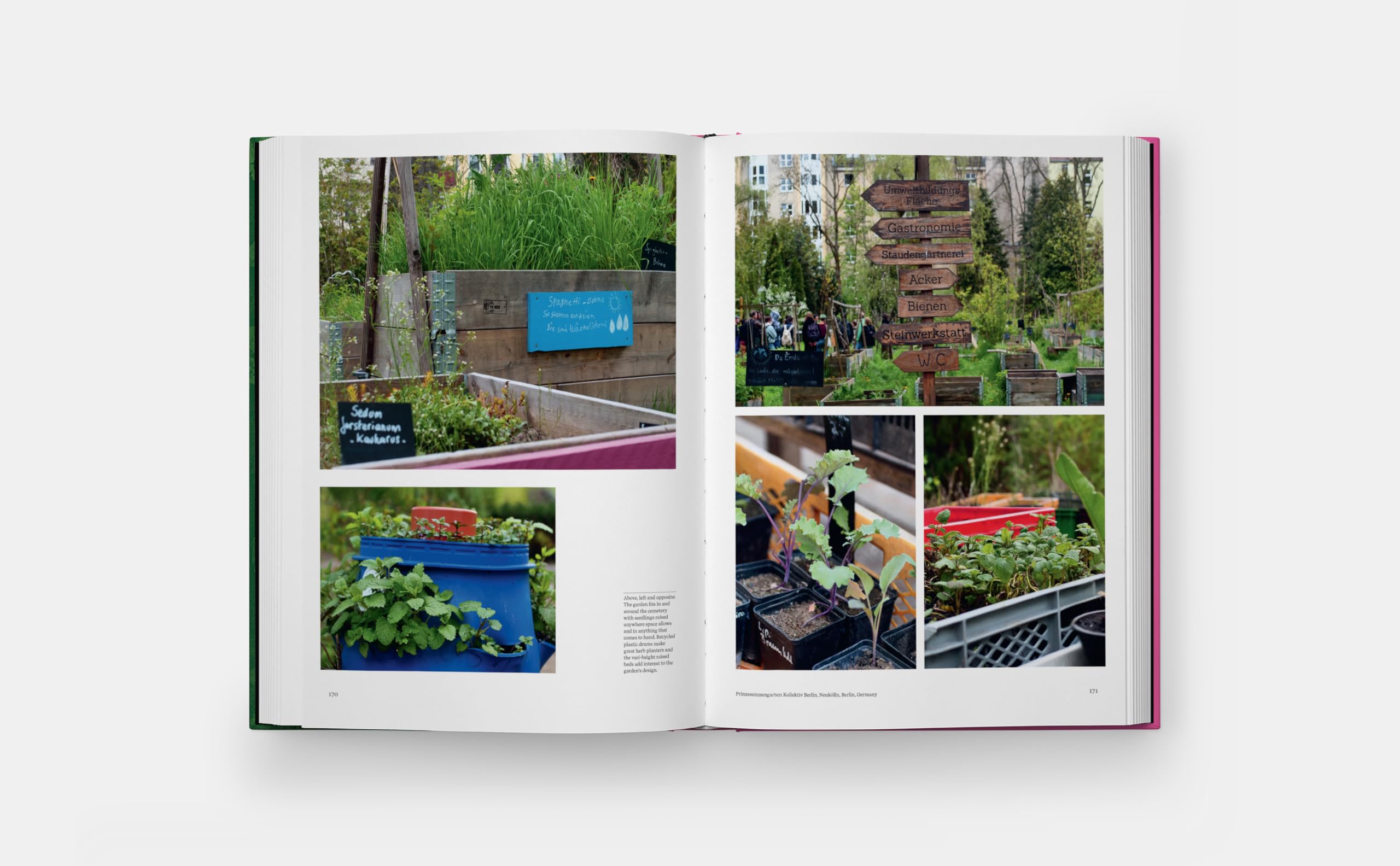 The kitchen garden