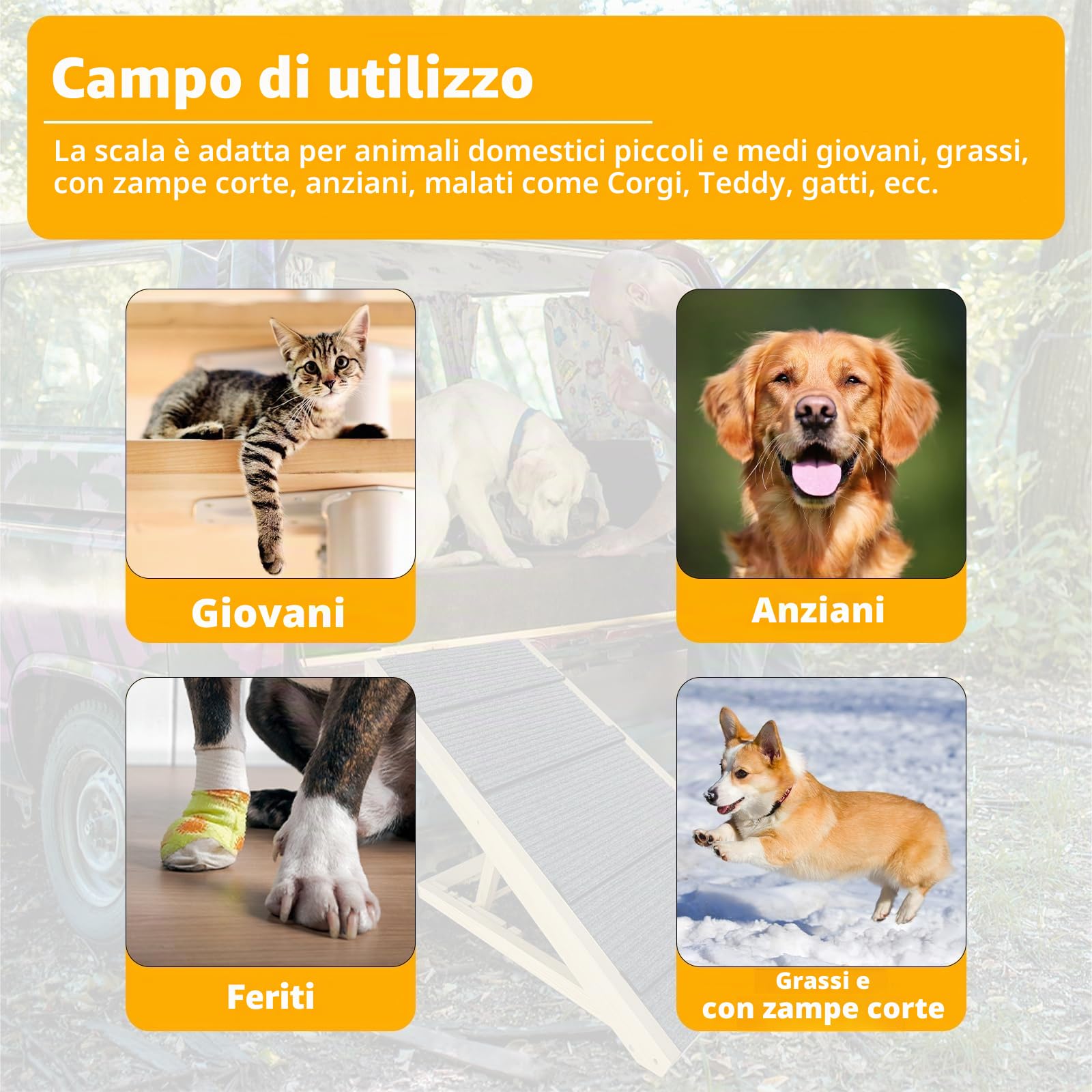 UISEBRT Scala per cani pieghevole in legno, scala per animali domestici fino a 100 kg