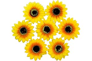 AUEAR: Flower, Sun-Kissed Hair