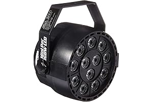 RGB Spectrum Extravaganza: The Eliminator Mini Par RGBW LED