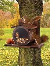 Weather Proof Squirrel Feeder with Stable Clear Round Window for Outdoor Use with Air Holes for Fixing to Tree or Fence (Round Window)