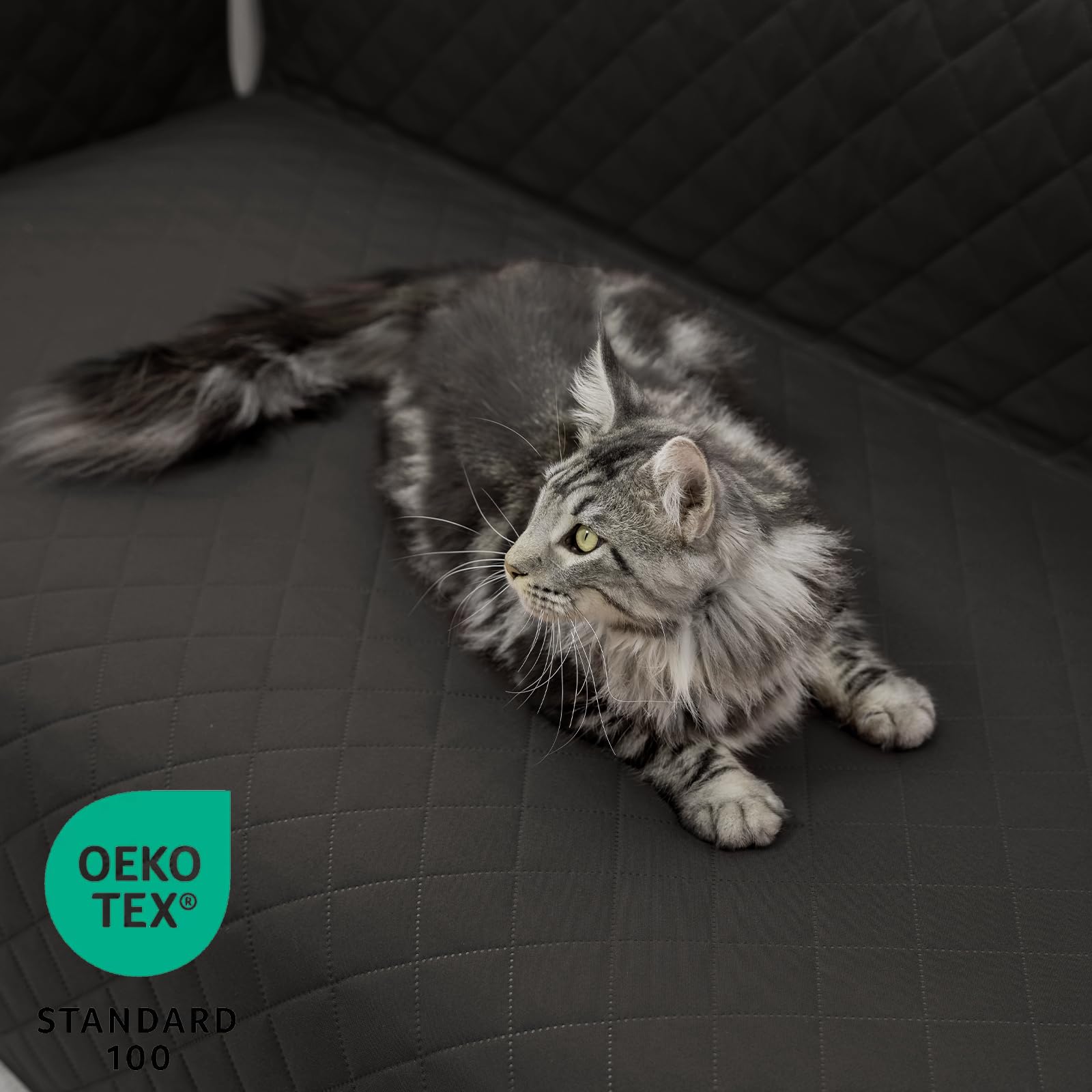 Sofa Überzug L Form 250cm Wasserdicht, Couch Überzug für Katze und Hund, Sofaschone Universell Reversibel, Dunkelgrau