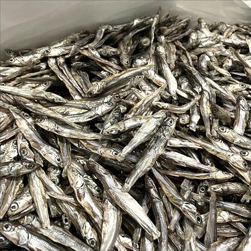 田作り(ごまめ)大サイズ 500g【 おせち料理・佃煮 】大きいだけで訳あり品【常温便】