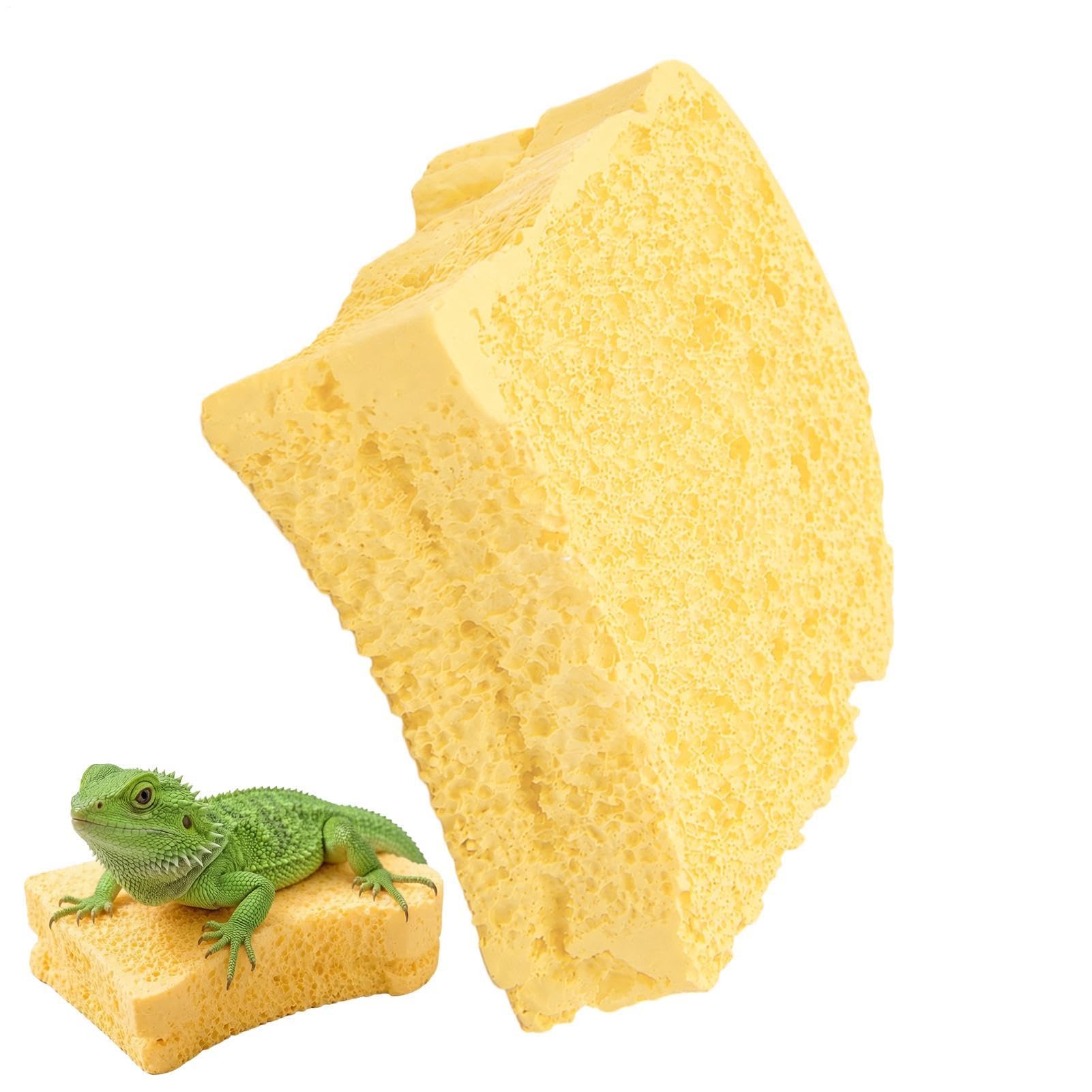 Reptile Shedding Board, Natural Shedding Aid, Climbing Rock Texture
