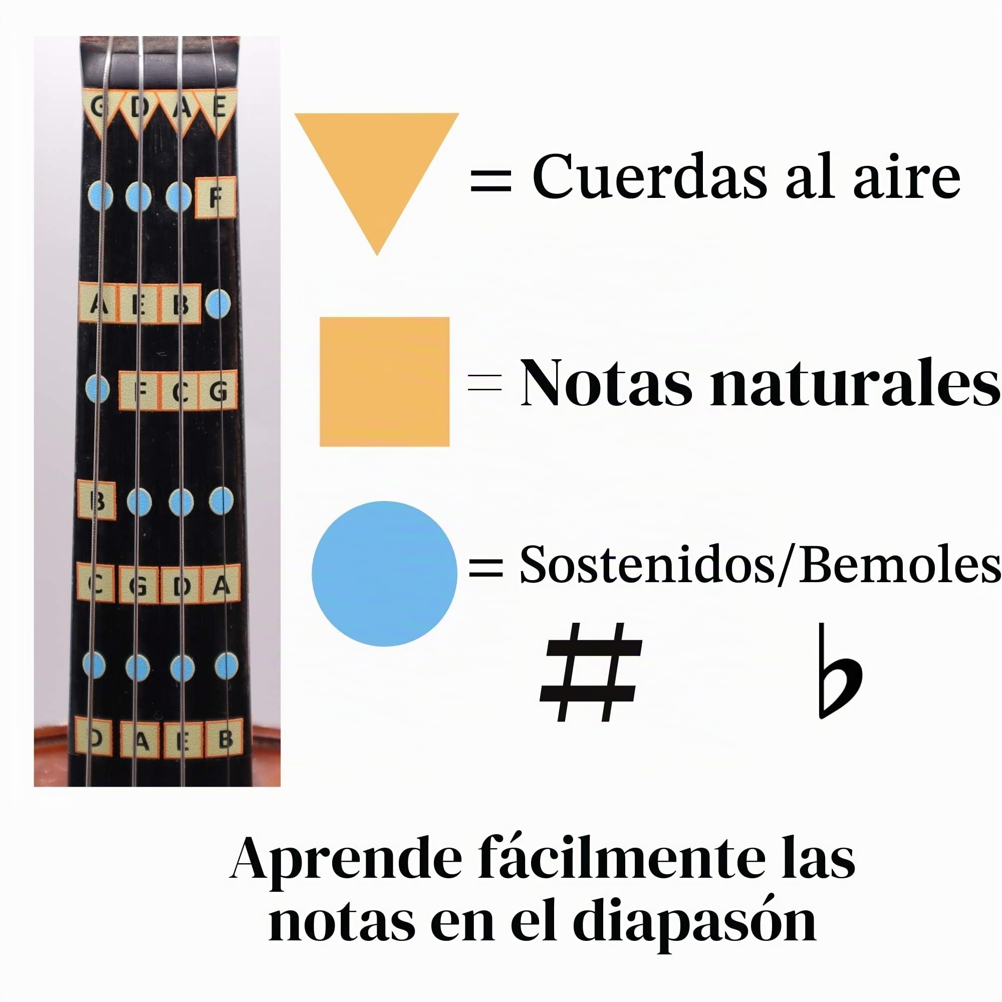 Fantástica guía de dedo para violines | Instrumentos musicales de cuerda | Pegatinas de toque y toque para aprender todas las notas | Guía de dedo para violín para niños/adultos | Juego